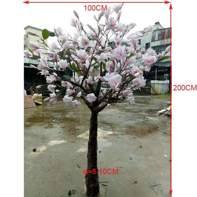 200cm height landscape decorative high quality artificial pink magnolia flowers tree , magnolia bonsai artificial tree sale