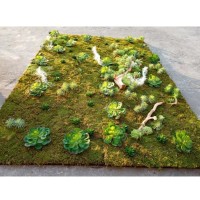 Customized natural indoor decorative preserved moss wall panel green, artificial green wall, living moss wall preserved