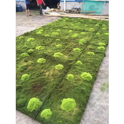 wholesale artificial peat moss mat wall panel art,  sea moss powder