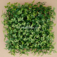 Wall Decorative Plastic Indoor Green Artificial Ficus Grass Mat Hedge for Sell