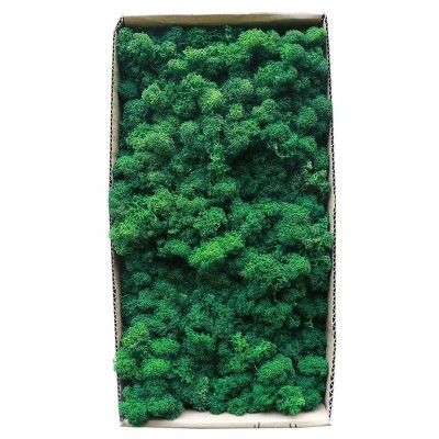 interior wall decoration artificial sea preserved dark green immortal moss wall art panel, peat moss mat natural, moss crepe