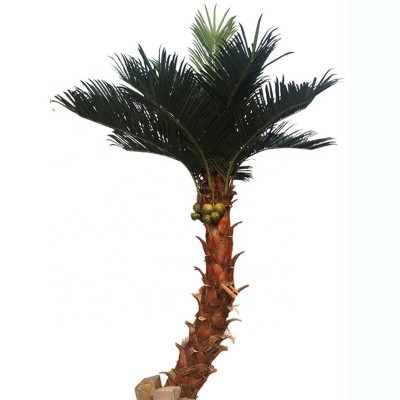 cheap 450cm height artificial bent herringbone bark coconut palm tree, artificial plants trees for indoor & outdoor decoration