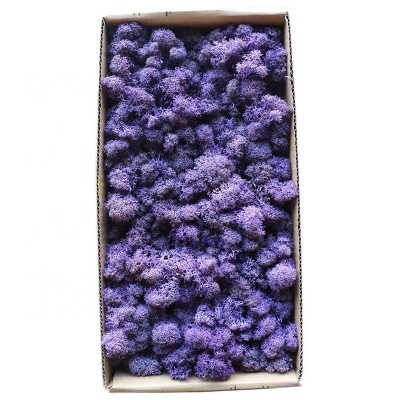 wholesale interior wall decoration artificial sea preserved purple immortal moss wall art panel, peat moss mat natural