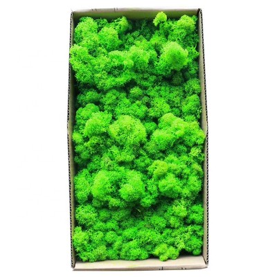 interior wall decoration artificial sea preserved green immortal moss wall art panel, peat moss mat natural, moss crepe