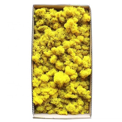 interior wall decoration artificial sea preserved  sheet yellow immortal moss wall art panel, peat moss mat natural, moss crepe