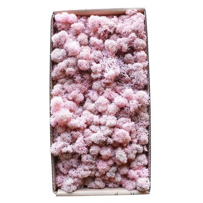 wholesale interior wall decoration artificial sea preserved pink immortal moss wall art panel, peat moss mat natural, moss crepe