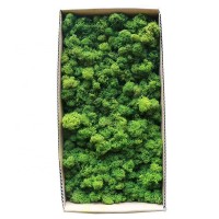 interior wall decoration artificial sea preserved immortal moss wall art panel sheet, peat moss mat natural, moss crepe