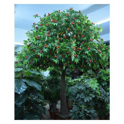 150CM/5ft height indoor fiberglass large artificial evergreen Cherry fruit tree bonsai, topiary fruit plant bonsai artificial