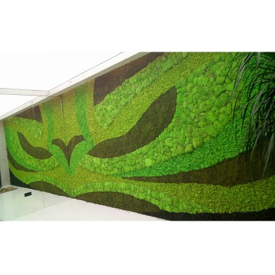 2019 hot selling natural indoor decorative artificial moss wall panel green, artificial green wall, living moss wall preserved